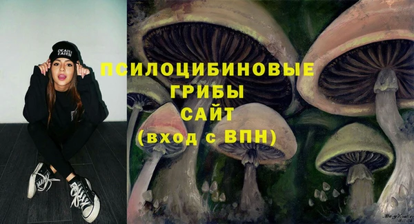 твердый Алексин