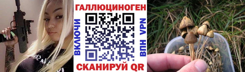 Псилоцибиновые грибы мухоморы  hydra рабочий сайт  Талица 